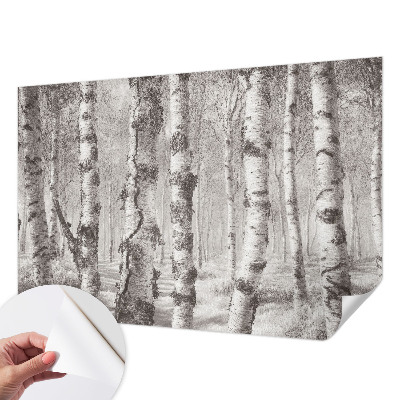 Fotomural decorativo para cabecero de cama con un diseño de bosque de abedules