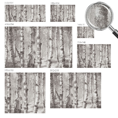 Fotomural decorativo para cabecero de cama con un diseño de bosque de abedules