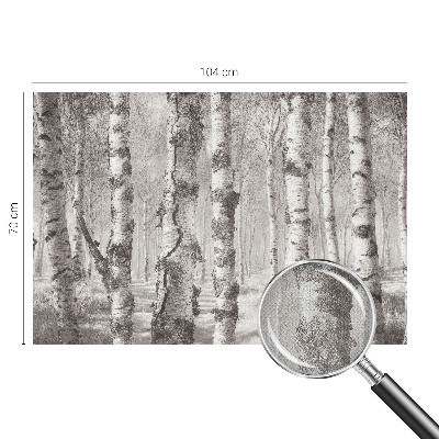 Fotomural decorativo para cabecero de cama con un diseño de bosque de abedules