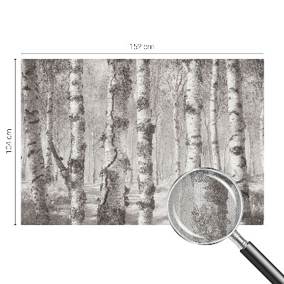 Fotomural decorativo para cabecero de cama con un diseño de bosque de abedules
