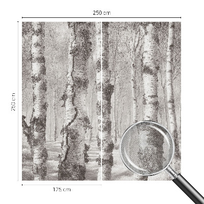 Fotomural decorativo para cabecero de cama bosque de abedules
