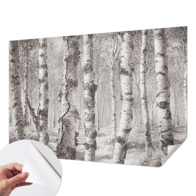 Fotomural decorativo para cabecero de cama con un diseño de bosque de abedules