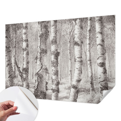 Fotomural decorativo para cabecero de cama bosque de abedules