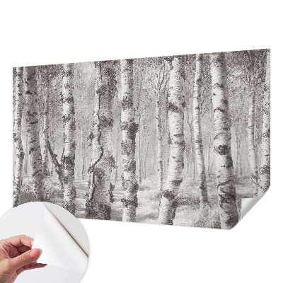 Fotomural decorativo para cabecero de cama bosque de abedules