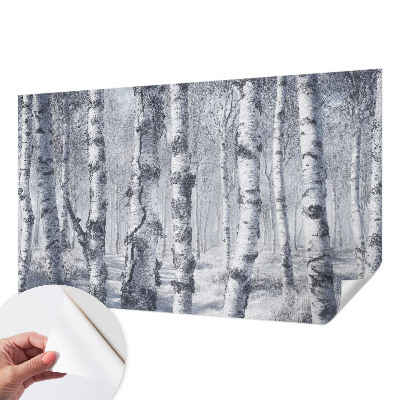 Papel mural con patrón decorativo Naturaleza helada