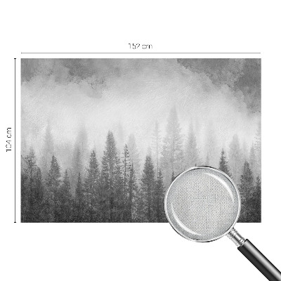 Fotomural decorativo para cabecero de cama Niebla forestal