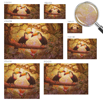 Papel mural texturado decorativo Tucanes coloridos