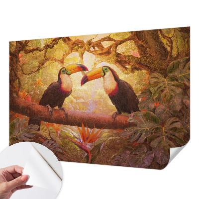 Papel mural texturado decorativo Tucanes coloridos