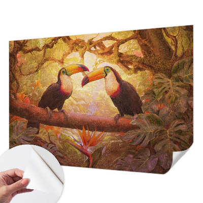 Papel mural texturado decorativo Tucanes coloridos