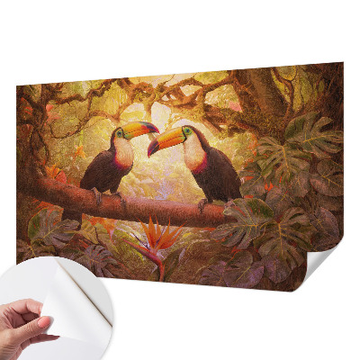 Papel mural texturado decorativo Tucanes coloridos