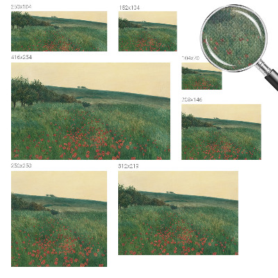 Papel mural con patrón decorativo Campos de amapolas