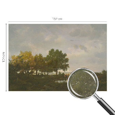 Papel mural texturado decorativo paisaje forestal