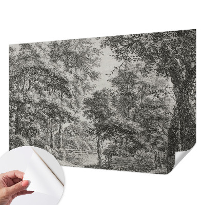 Fotomural decorativo para cabecero de cama con un paisaje forestal