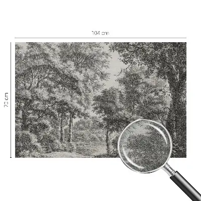 Fotomural decorativo para cabecero de cama con un paisaje forestal