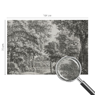 Fotomural decorativo para cabecero de cama Paisaje forestal