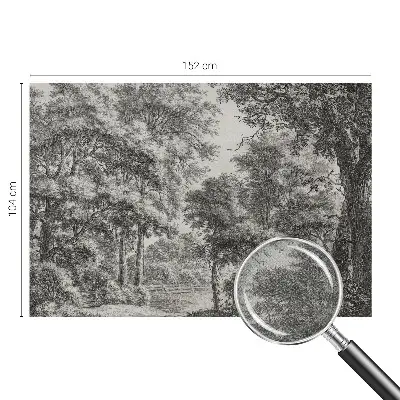 Fotomural decorativo para cabecero de cama con un paisaje forestal