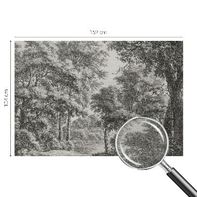 Fotomural decorativo para cabecero de cama Paisaje forestal