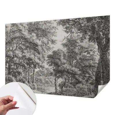 Fotomural decorativo para cabecero de cama con un paisaje forestal