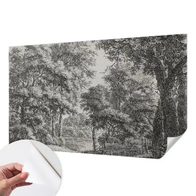 Fotomural decorativo para cabecero de cama con un paisaje forestal