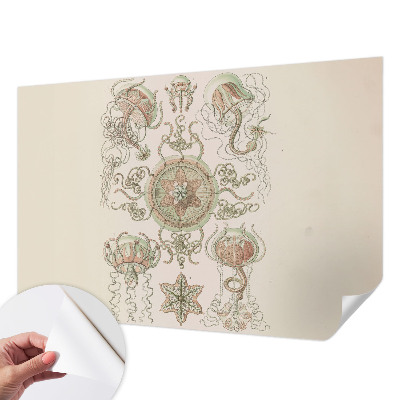 Papel mural con patrón decorativo con motivo de mundo submarino