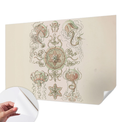 Papel mural con patrón decorativo mundo submarino