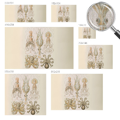 Mural de pared con estampado hermoso Vida marina