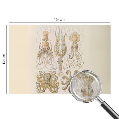 Mural de pared con estampado hermoso Vida marina