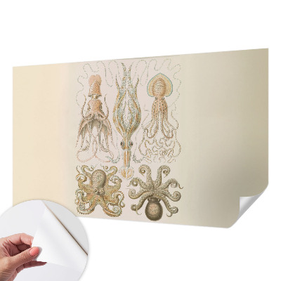 Mural de pared con estampado hermoso Vida marina