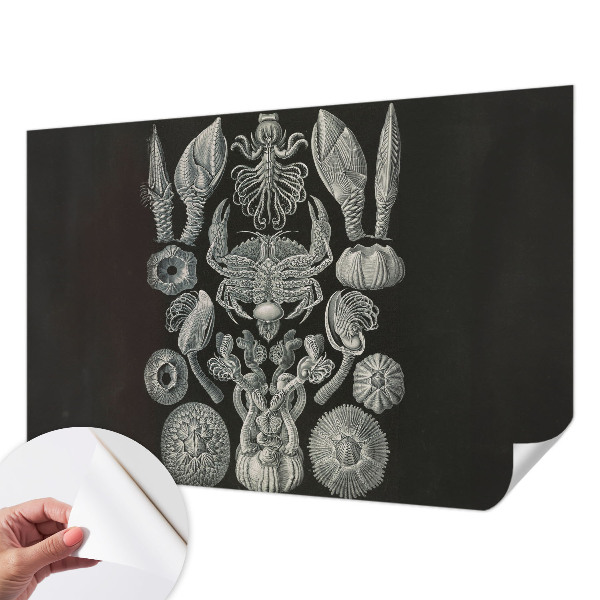 Papel mural texturado decorativo con diseño de formas subacuáticas
