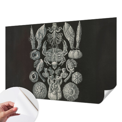 Papel mural texturado decorativo con diseño de formas subacuáticas