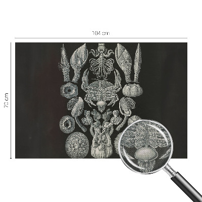 Papel mural texturado decorativo Formas subacuáticas