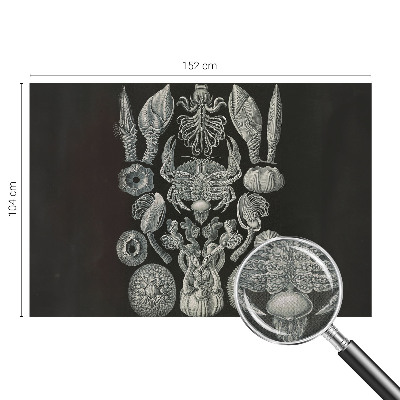 Papel mural texturado decorativo Formas subacuáticas