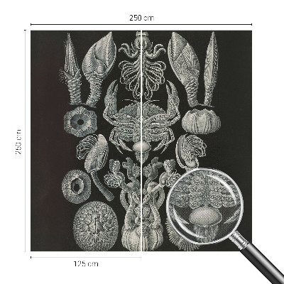 Papel mural texturado decorativo Formas subacuáticas