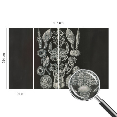 Papel mural texturado decorativo Formas subacuáticas