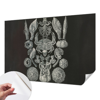 Papel mural texturado decorativo con diseño de formas subacuáticas