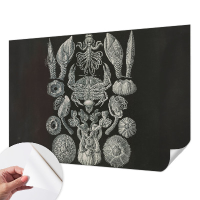 Papel mural texturado decorativo con diseño de formas subacuáticas