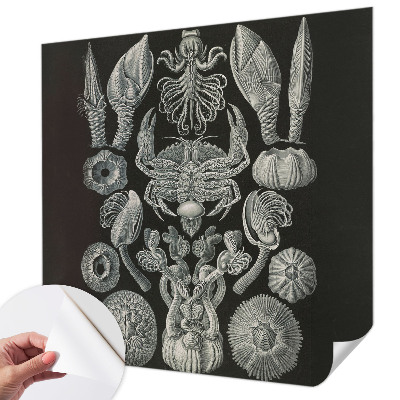 Papel mural texturado decorativo con diseño de formas subacuáticas