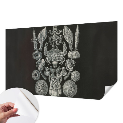 Papel mural texturado decorativo con diseño de formas subacuáticas