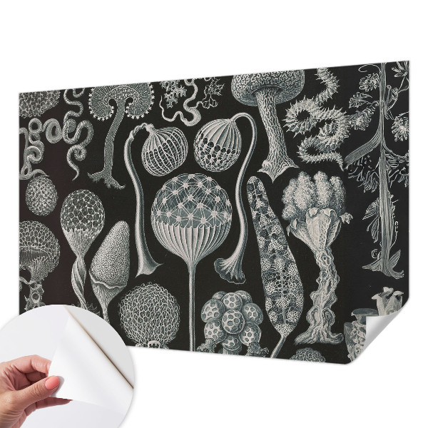 Fotomural decorativo para cabecero de cama con diseño de plantas mágicas
