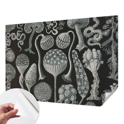 Fotomural decorativo para cabecero de cama con diseño de plantas mágicas