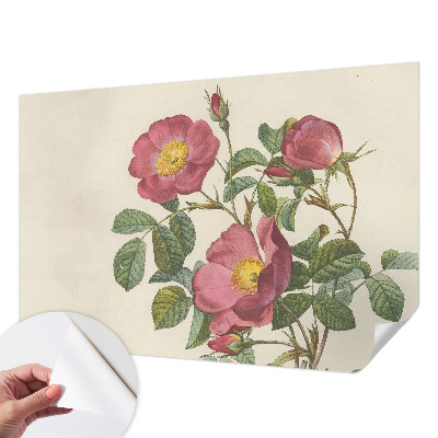 Papel mural con patrón decorativo con motivo de rosa