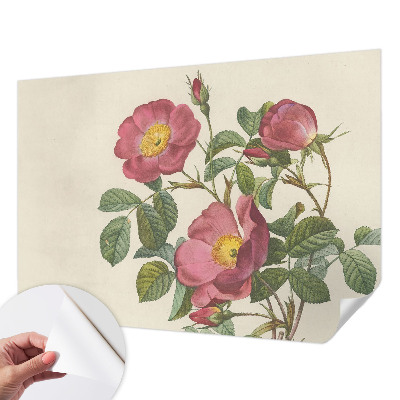 Papel mural con patrón decorativo con motivo de rosa
