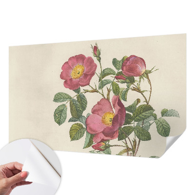 Papel mural con patrón decorativo con motivo de rosa