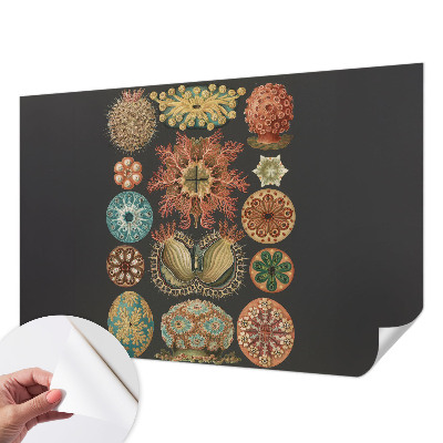 Mural de pared con estampado hermoso Inspiraciones marinas