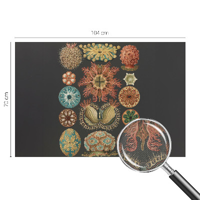 Mural de pared con estampado hermoso Inspiraciones marinas