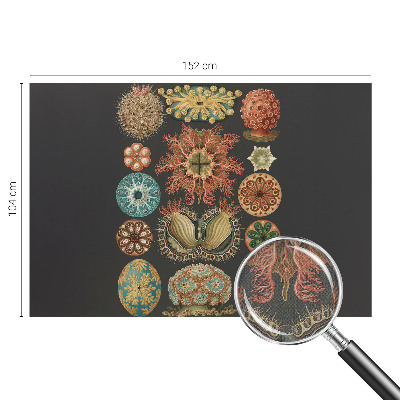 Mural de pared con estampado hermoso Inspiraciones marinas