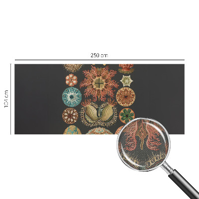 Mural de pared con estampado hermoso Inspiraciones marinas