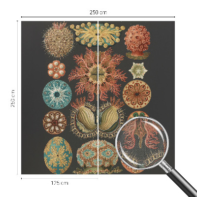 Mural de pared con estampado hermoso Inspiraciones marinas