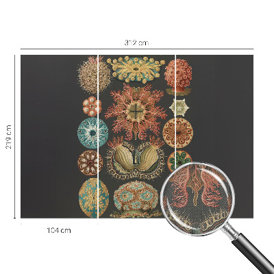 Mural de pared con estampado hermoso Inspiraciones marinas