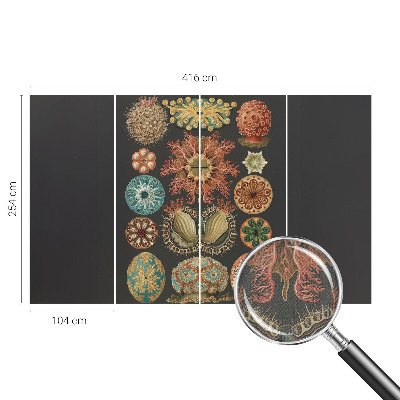 Mural de pared con estampado hermoso Inspiraciones marinas